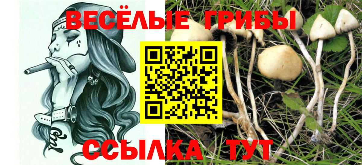 Псилоцибиновые грибы Magic Shrooms Керчь